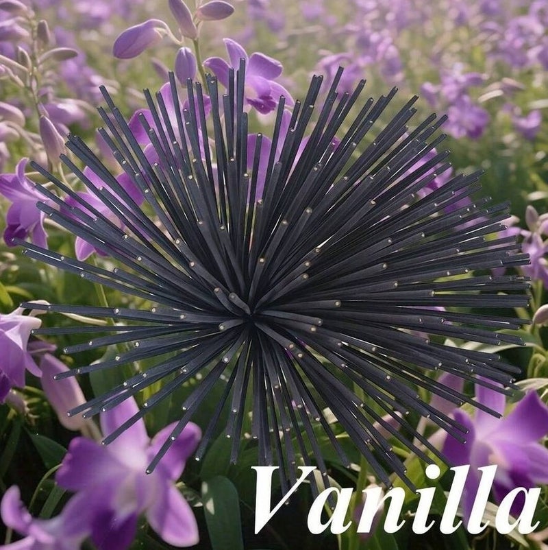 بخور معطر برائحة الفانيلا 20 قطعة – أعواد بخور فواحة لتعطير المنزل والمكتب برائحة دافئة - Image 1